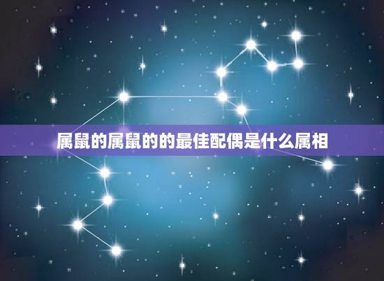 属鼠的属鼠的的最佳配偶是什么属相，生肖鼠最佳配对属相？