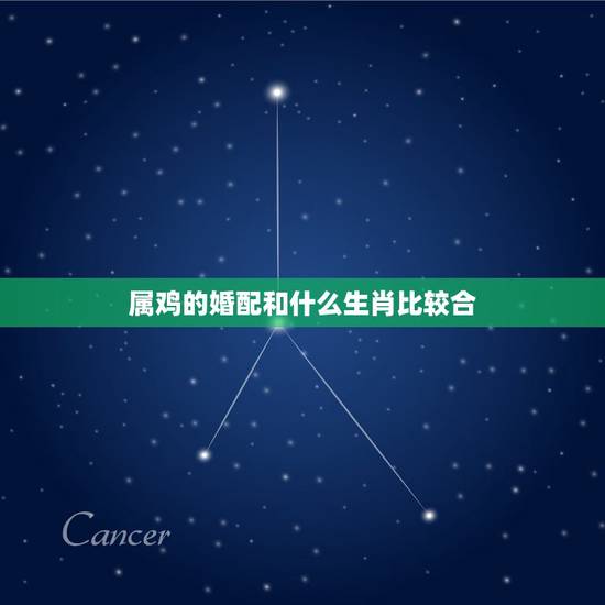 属鸡的婚配和什么生肖比较合，属鸡的和什么属相最配