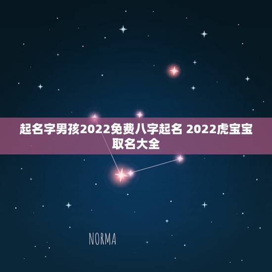 起名字男孩2022免费八字起名 2022虎宝宝取名大全