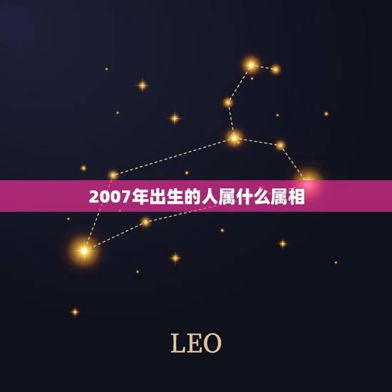 2007年出生的人属什么属相，2007年属什么生肖