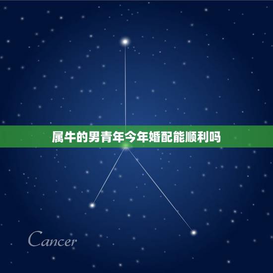 属牛的男青年今年婚配能顺利吗，属牛男人和属龙女人合婚么？