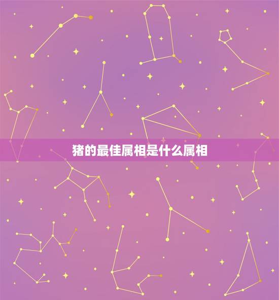 猪的最佳属相是什么属相，属猪的和什么属相好