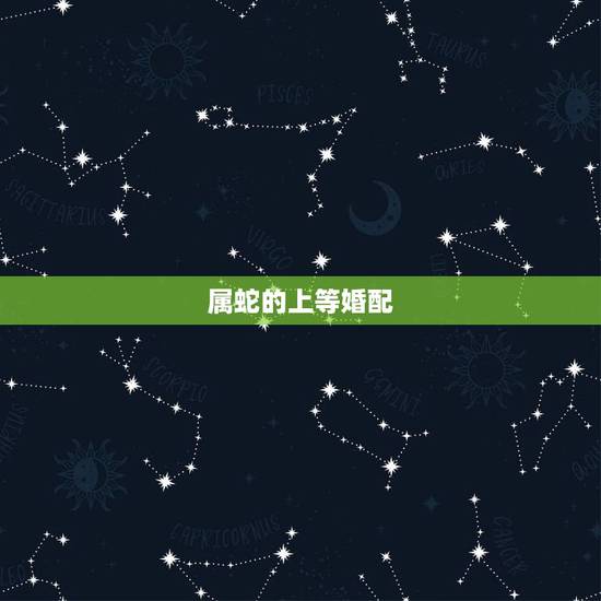 属蛇的上等婚配,属蛇女最佳上等婚配 属蛇的上等婚配,属蛇女最佳上等婚配