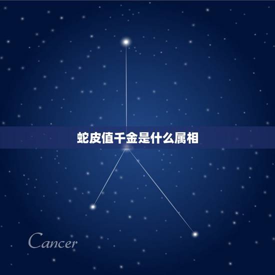蛇皮值千金是什么属相,一张蛇皮值千金打一生肖 蛇皮值千金是什么属相,一张蛇皮值千金打一生肖