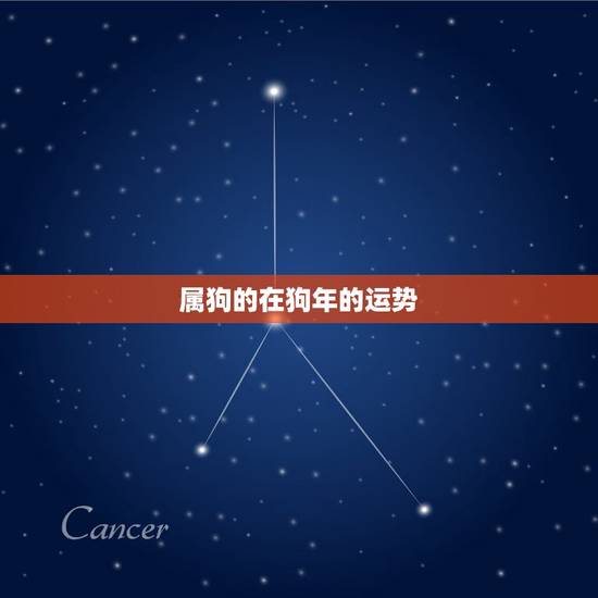 属狗的在狗年的运势,属狗2018年运势 属狗的在狗年的运势,属狗2018年运势
