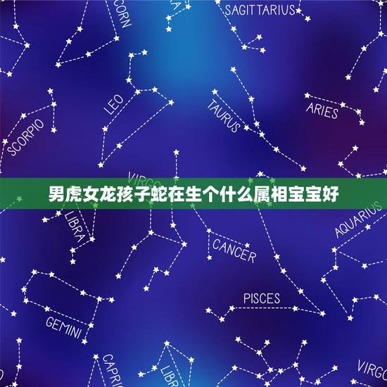 男虎女龙孩子蛇在生个什么属相宝宝好，属虎男和属蛇女生什么属相的宝宝好
