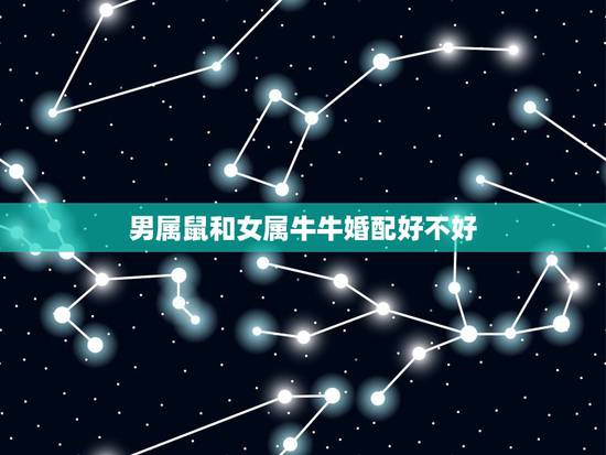 男属鼠和女属牛牛婚配好不好，属相.属鼠的和属牛的在一起合适吗？