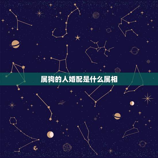 属狗的人婚配是什么属相，属狗的和什么属相最配 属狗的属相婚配表