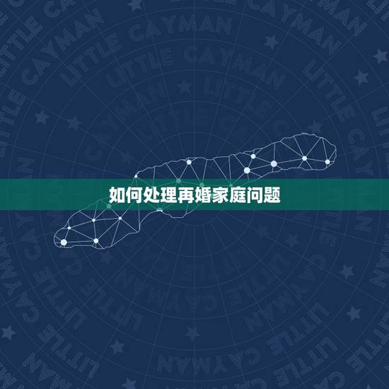 如何处理再婚家庭问题,如何处理再婚家庭的经济问题。 如何处理再婚家庭问题,如何处理再婚家庭的经济问题。
