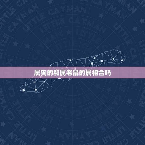 属狗的和属老鼠的属相合吗,属鼠和属狗相配吗? 属狗的和属老鼠的属相合吗,属鼠和属狗相配吗?