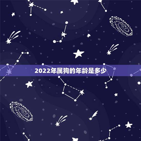 2022年属狗的年龄是多少，2022年属狗