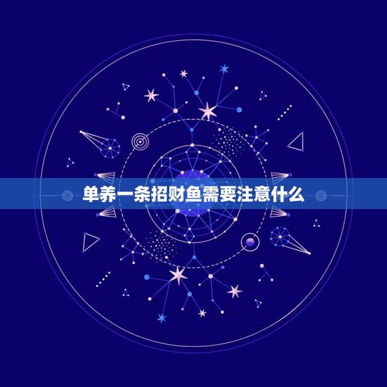 单养一条招财鱼需要注意什么，招财鱼养一条还是两条好