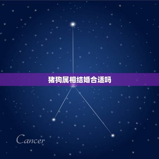 猪狗属相结婚合适吗,猪狗属相相配吗 猪狗属相结婚合适吗,猪狗属相相配吗