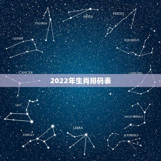 2022年生肖排码表，1989年的蛇2022 年运势