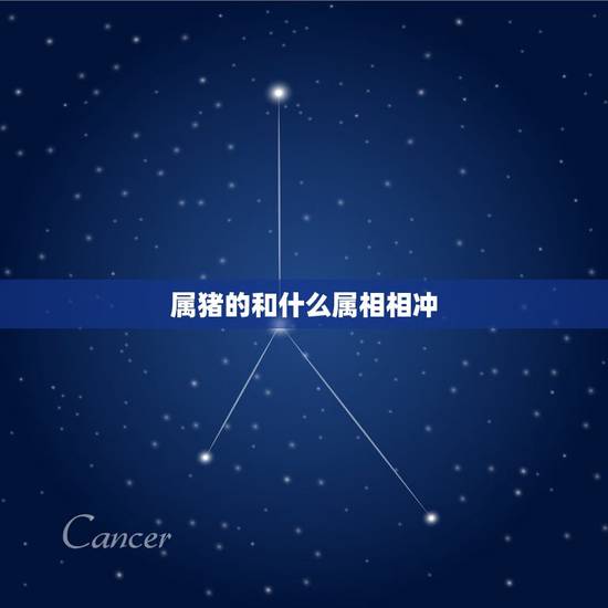 属猪的和什么属相相冲，属猪的和什么属相最配