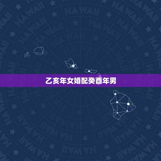 乙亥年女婚配癸酉年男,癸酉年男想在己亥年成家可以吗? 乙亥年女婚配癸酉年男,癸酉年男想在己亥年成家可以吗?