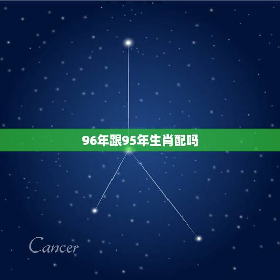 96年跟95年生肖配吗，95年属猪的和什么属相最配