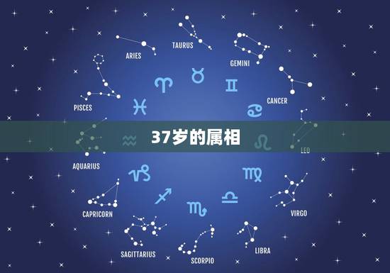 37岁的属相,2017年37岁属什么生肖 37岁的属相,2017年37岁属什么生肖