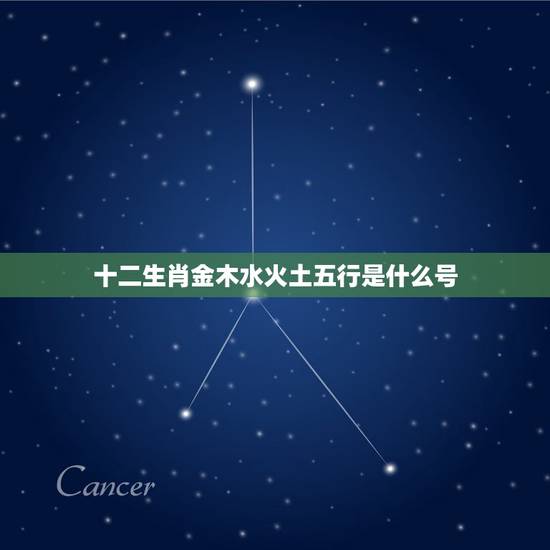 十二生肖金木水火土五行是什么号，十二生肖金木水火土怎样分