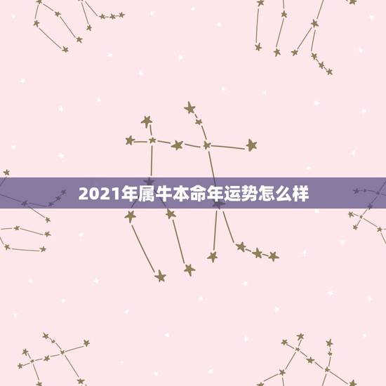2021年属牛本命年运势怎么样，2021年属牛本命年有什么说法 运势好