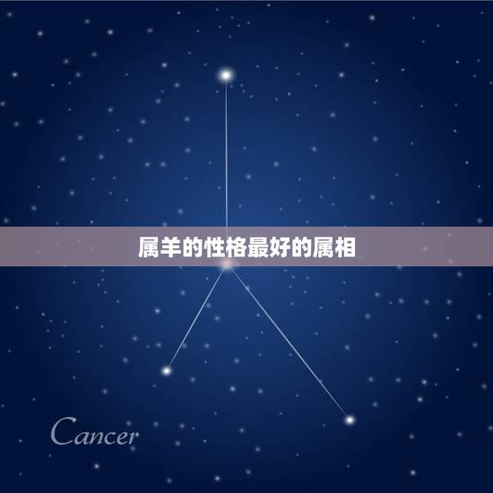 属羊的性格最好的属相，数属羊的人性格怎么样