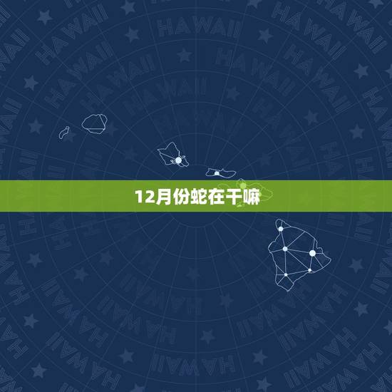 12月份蛇在干嘛，属蛇女2022 年12月份运势