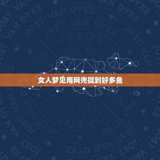女人梦见用网兜捉到好多鱼，梦见自己路过一水坑很多鱼回家拿网兜