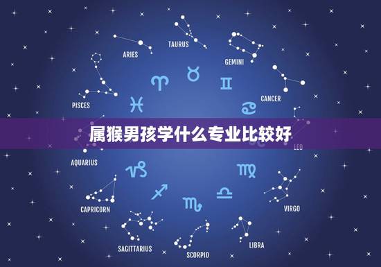 属猴男孩学什么专业比较好，属猴的男生适合做什么职业？