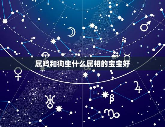 属鸡和狗生什么属相的宝宝好,老公属鸡我属狗,生个什么属相的孩子最好? 属鸡和狗生什么属相的宝宝好,老公属鸡我属狗,生个什么属相的孩子最好?