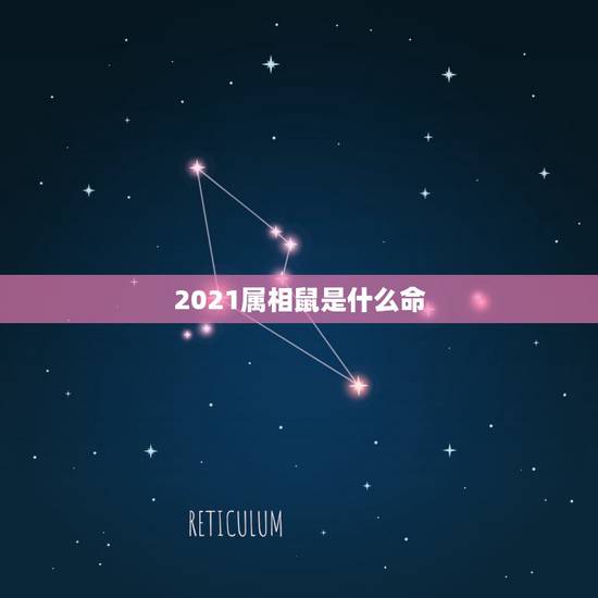 2021属相鼠是什么命，属鼠2021年运势及运程每月运程
