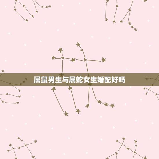 属鼠男生与属蛇女生婚配好吗,属鼠的男生和属蛇的女生可以结婚吗? 属鼠男生与属蛇女生婚配好吗,属鼠的男生和属蛇的女生可以结婚吗?
