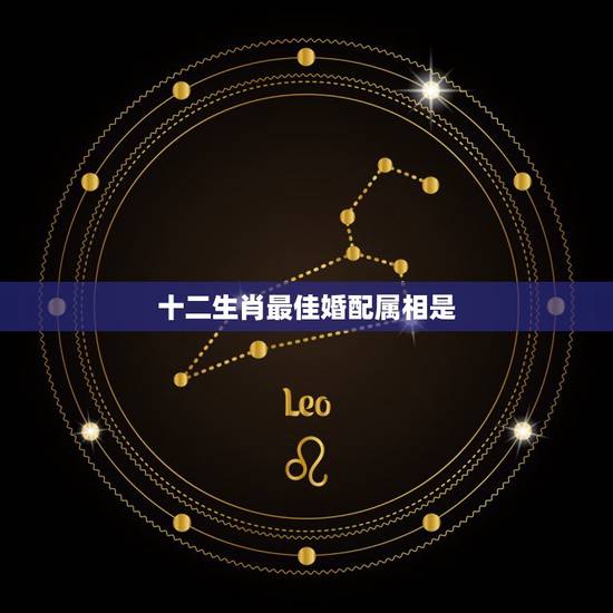 十二生肖最佳婚配属相是，十二生肖婚配:属相合婚配对表