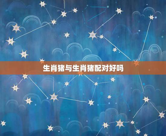 生肖猪与生肖猪配对好吗,属猪和属猪的合不合 生肖猪与生肖猪配对好吗,属猪和属猪的合不合