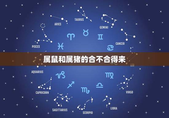 属鼠和属猪的合不合得来，男属鼠与女属猪生肖配