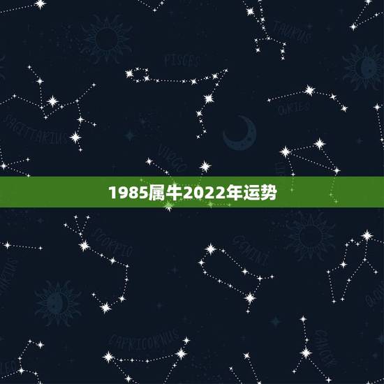 1985属牛2022年运势，1986年属牛2022 年运势