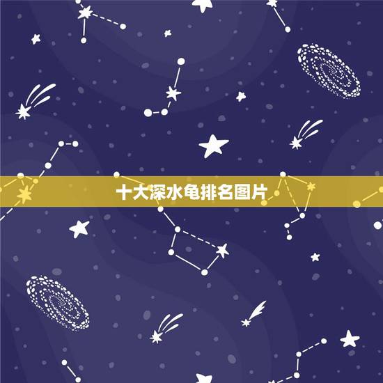 十大深水龟排名图片,十大凶猛龟排名是怎样的? 十大深水龟排名图片,十大凶猛龟排名是怎样的?