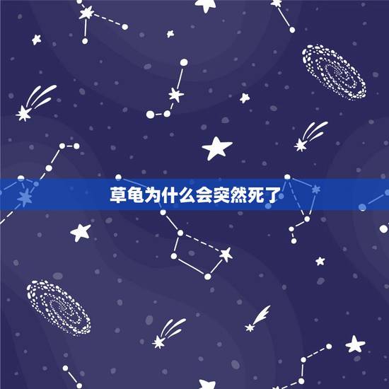 草龟为什么会突然死了,乌龟会死吗? 草龟为什么会突然死了,乌龟会死吗?