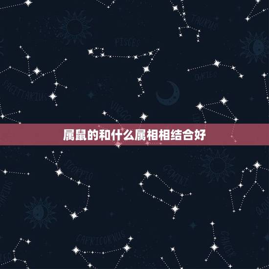 属鼠的和什么属相相结合好，属鼠的和什么属相般配