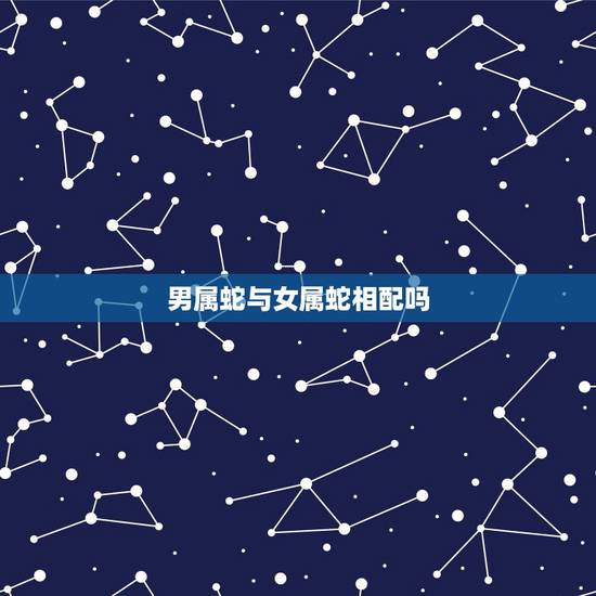 男属蛇与女属蛇相配吗,属蛇男和属蛇女合适吗 男属蛇与女属蛇相配吗,属蛇男和属蛇女合适吗