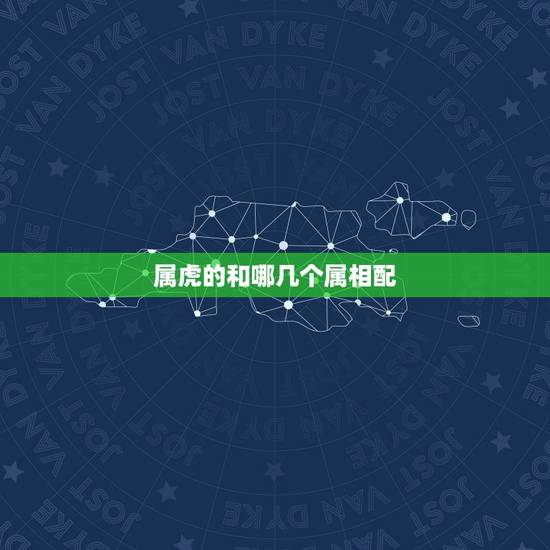 属虎的和哪几个属相配,属虎的女人和什么属相最配 属虎的和哪几个属相配,属虎的女人和什么属相最配