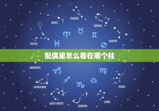 配偶星怎么看在哪个柱，老师帮我看下我的配偶星是在日柱上吗？