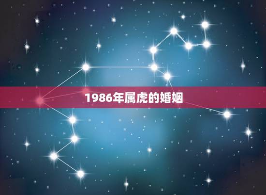 1986年属虎的婚姻，1986年生属虎人今年的财运及婚姻状况如何