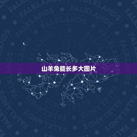 山羊兔能长多大图片，山羊抗兔lgg是什么