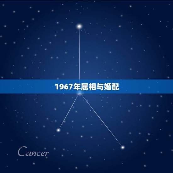 1967年属相与婚配，64年属龙女配67年属羊男