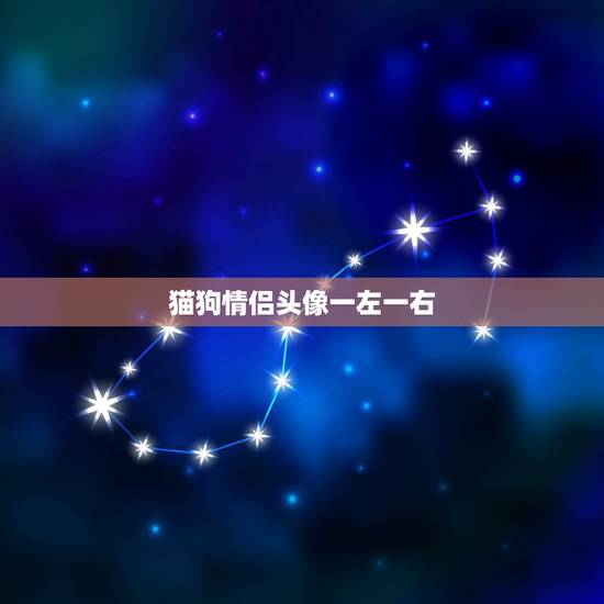 猫狗情侣头像一左一右，想找一对情侣头像，一