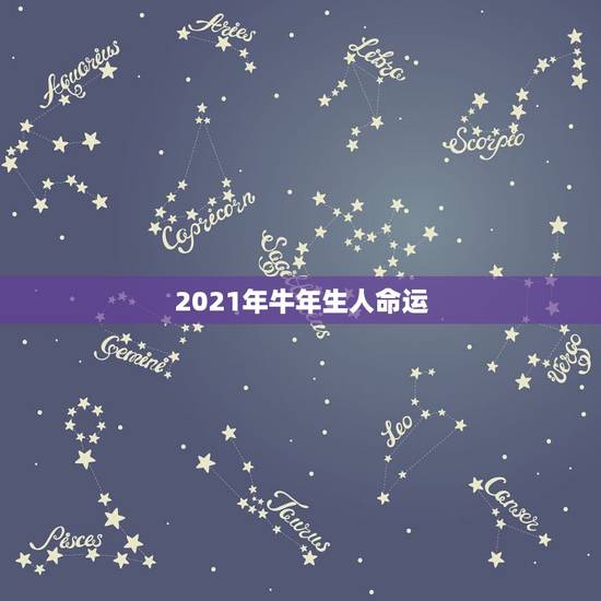 2021年牛年生人命运，2021年牛年几月出生的孩子最好命