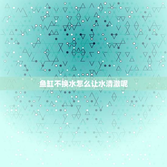 鱼缸不换水怎么让水清澈呢,怎样才能让鱼缸的水看起来更清澈? 鱼缸不换水怎么让水清澈呢,怎样才能让鱼缸的水看起来更清澈?