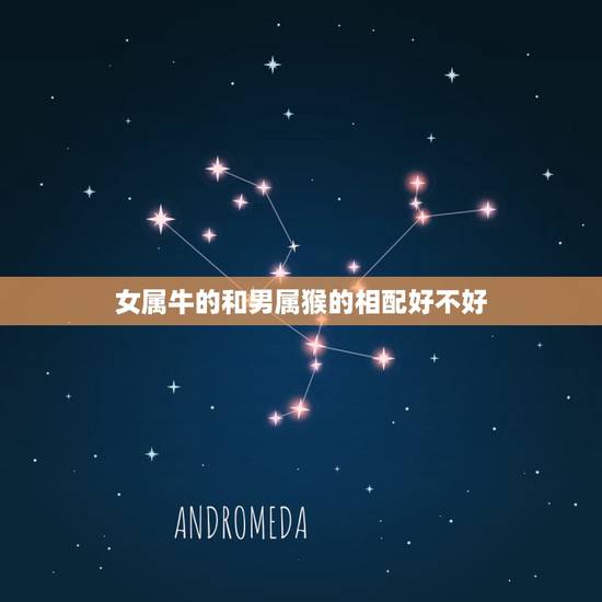 女属牛的和男属猴的相配好不好，属牛的，属相和哪个属相最配？