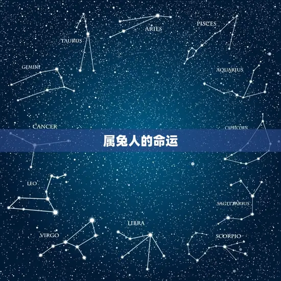 属兔人的命运 属兔人的命运
