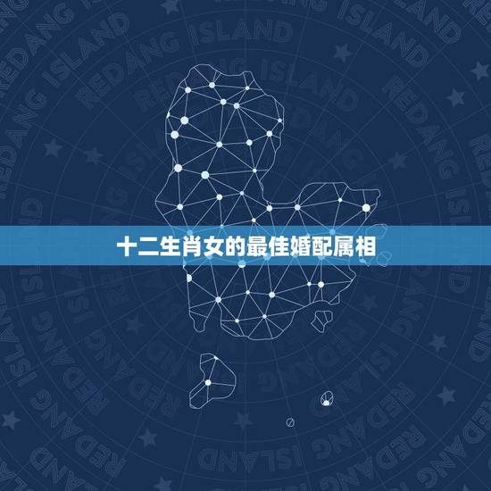 十二生肖女的最佳婚配属相,属狗的女性跟什么属相婚配最好? 十二生肖女的最佳婚配属相,属狗的女性跟什么属相婚配最好?